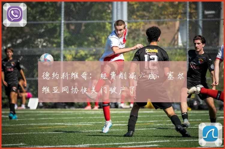 德约科维奇：经费削减六成，塞尔维亚网协快关门破产了