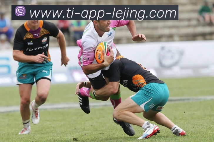 多媒体互动体验